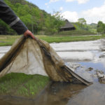 桃谷川から取水している周辺の農業